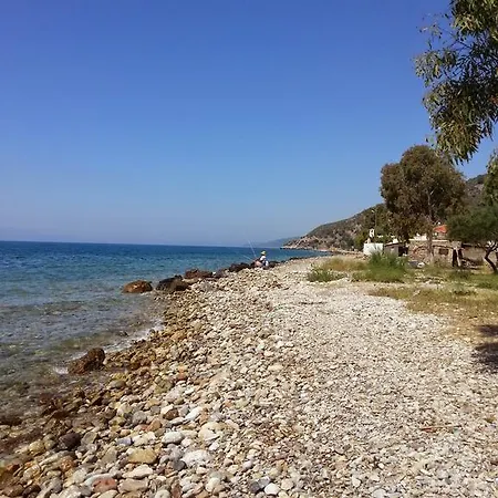 Cemre Aparts *